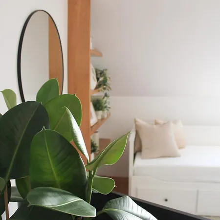 Cozy Urban Spot *